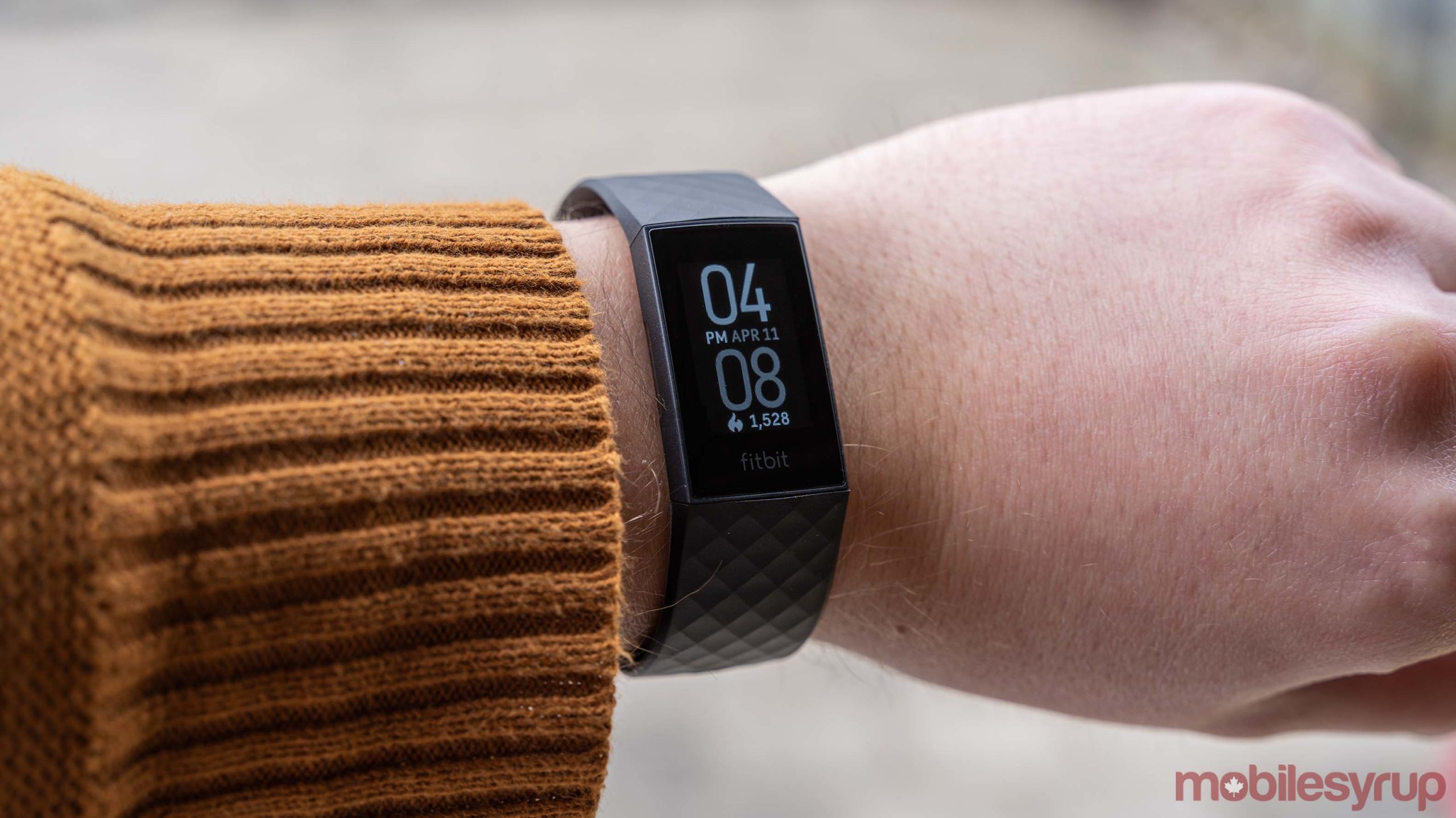 fitbit charge 4 wrist size