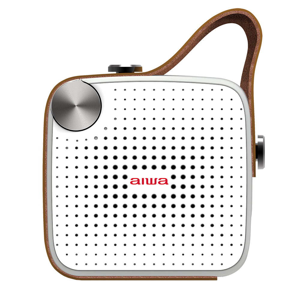 Aiwa BS-100 White/Grey