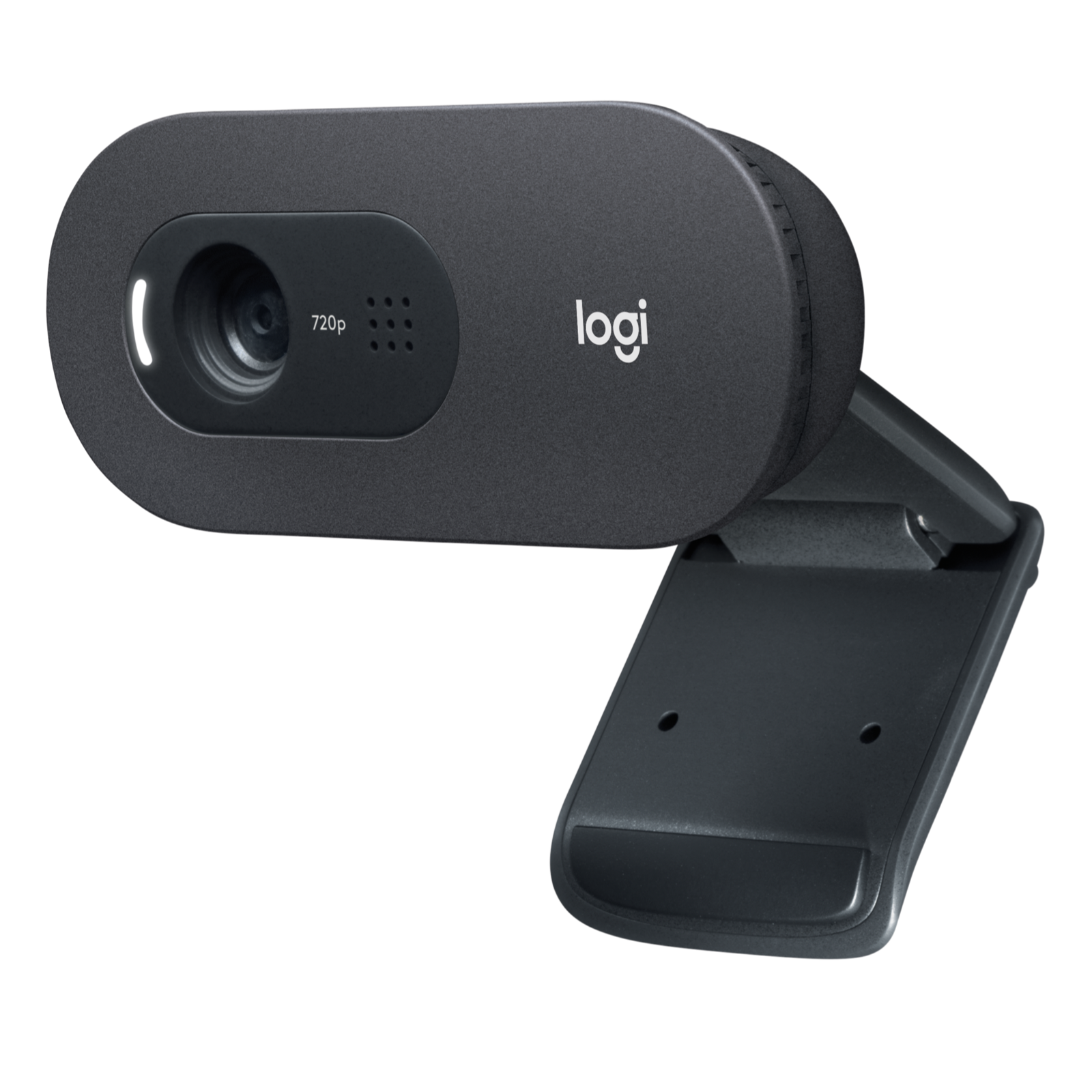 Logitech C505 HD Webcam