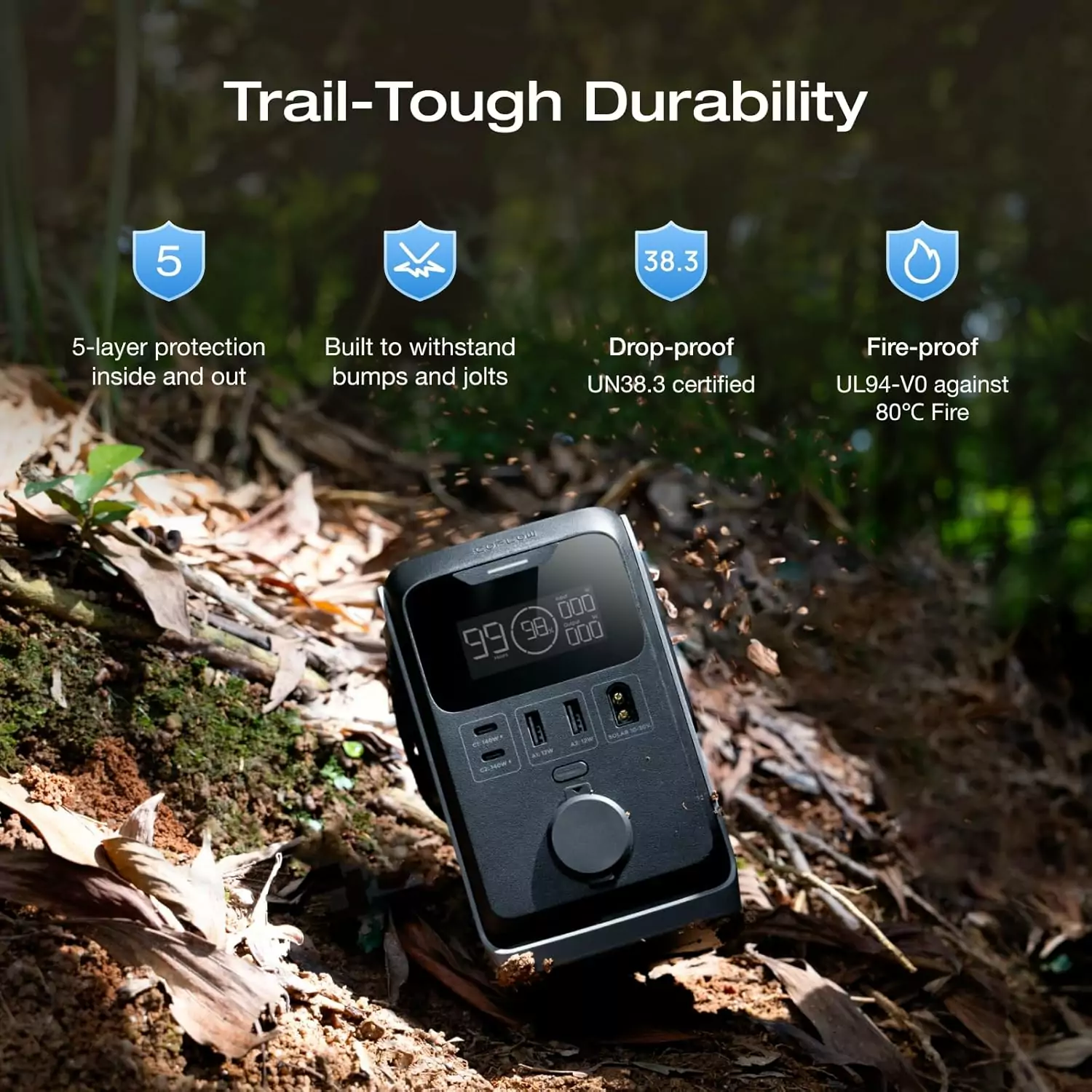 EcoFlow TRAIL DC 300