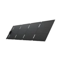 EcoFlow 60W Solar Panel